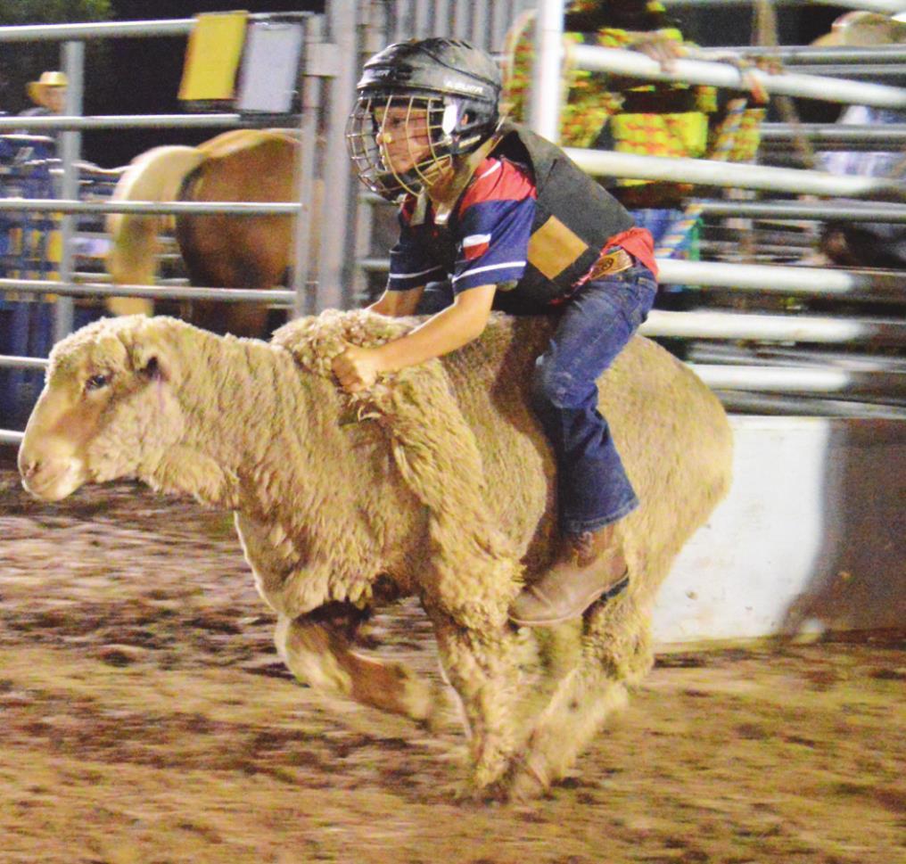 The 75th annual Wimberley VFW Rodeo Wimberley View